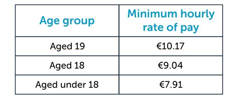 Handyman Hourly Pay in Ireland in 2024 .